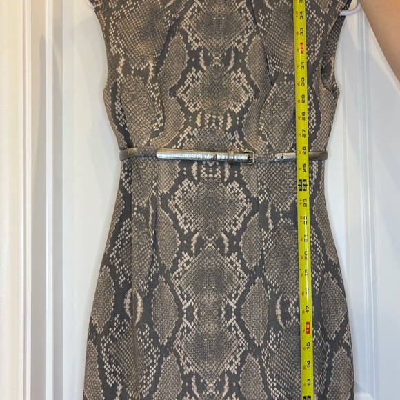 Calvin Klein Taupe and Charcoal Snake Print Midi Dress - Picture 3 of 6